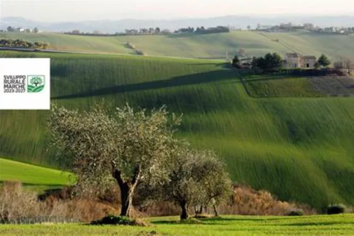 bando agriturismo marche 2024