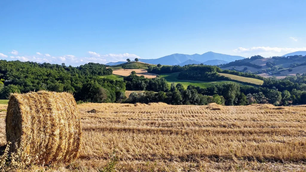 Locanda della Valle Nuova - Fermignano (PU) - Paesaggio