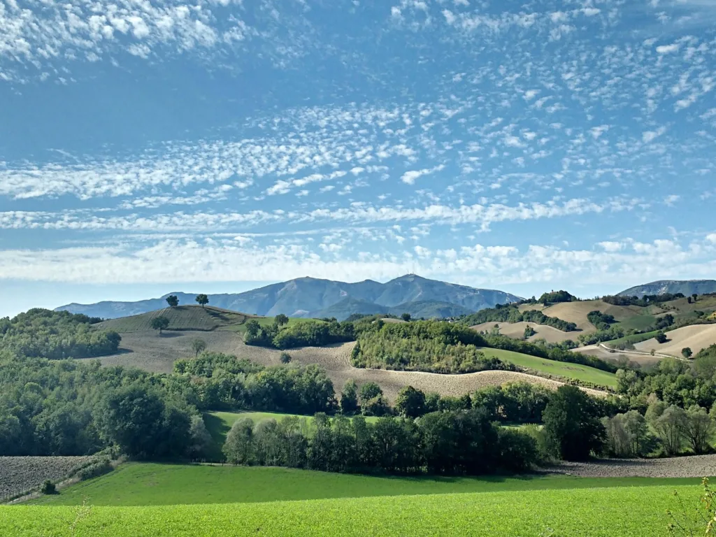 Locanda della Valle Nuova - Fermignano (PU) - Paesaggio